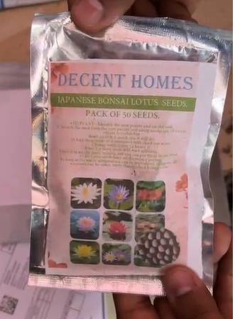 40 Pcs Japanese Bonsai Lotus Seeds Pack of 2